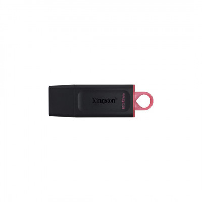 MEMORIA USB 256GB 3.2 KINGSTON DTX/256GB